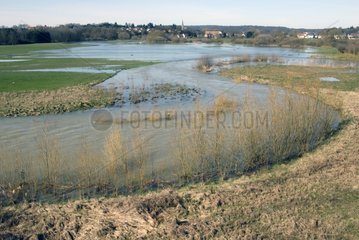 River Allaine in flood in the plain of Morillard France