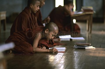 Young bhikkhus doing homework in a monastery Burma