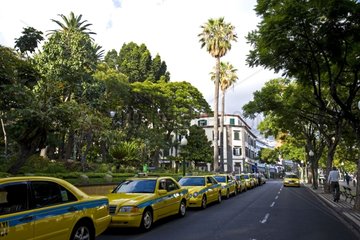 Cabs in the town of Funchal Portugal