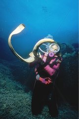 Plongeuse tenant un serpent marin Lizard Island