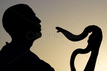 Snake charmer with an Egyptian Cobra Marrakech
