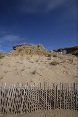 Lattice fence on a coastal dune Belle Ile en Mer France