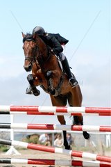 Show jumping Lozere France