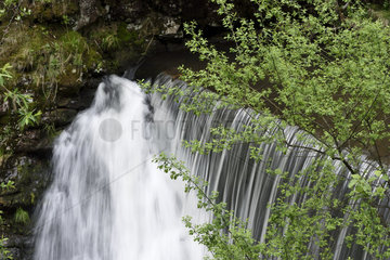 Waterfall  Saut de l'Ognon  Servance  Haute-Saone  France