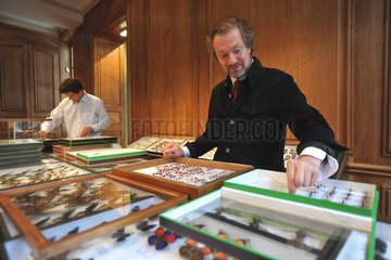 Owner of the Deyrolle Shop and insects collections