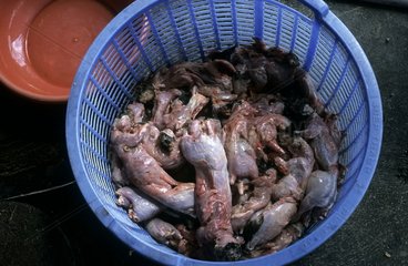 Ratten  die als gekochtes Mekong -Delta Vietnam gekocht wurden
