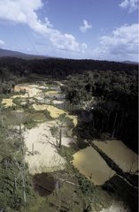 Air shot of an illegal gold mining site French Guiana