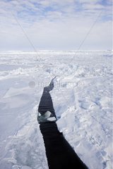 Fractured sea ice Antarctica