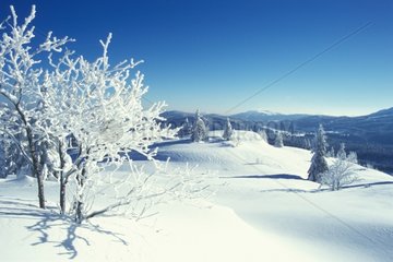 Schnee Landschaft Jura Frankreich