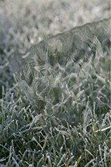 A block of ice in grass in winter in Provence