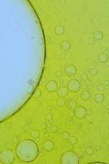 Bubbles in a water / olive oil mix