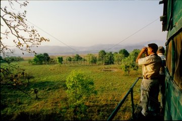 Tourists in watchtower seeking Tigers Corbett NP India
