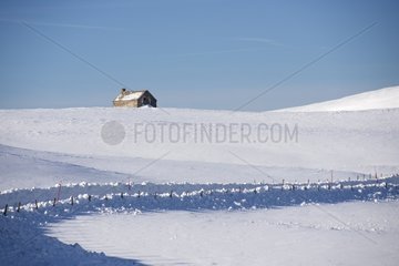 Buron in the snow - Mountain Cézallier Auvergne France