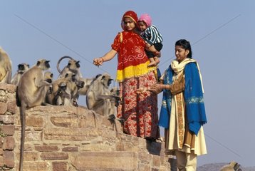 Women giving offering to Hanumans langur