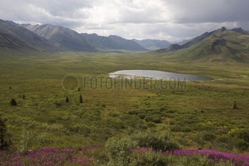 Landscape Park Tombstone Territorial Yukon Canada