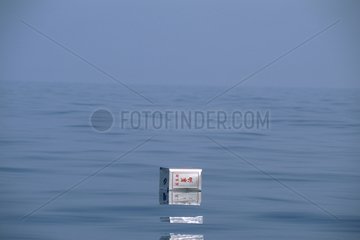 Boîte d'huile métallique-déchet flottant en Méditerranée