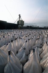 Stockage des sacs d'engrais dans usine de conditionnement
