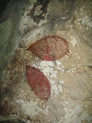 Representation Babiroussa - Cave Sumpang bita Indonesia