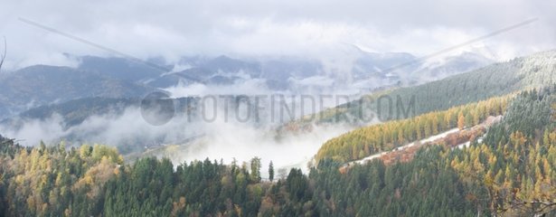 Mist on the Thur Valley in autumn - Vosges France