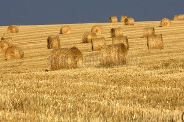 Stack of straw in a field in Bourgogne