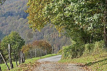 Country road in autumn - Franche-Comté France