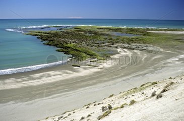 Sand coast on Valdez peninsula Patagonia Argentina