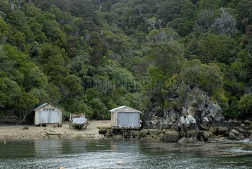 Boat sheds on a beach of Stewart island New Zealand
