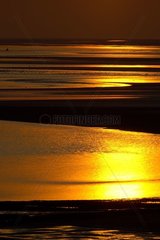 Coucher de soleil sur la baie de Somme à marée basse