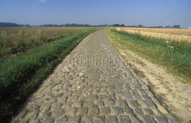Pavés du Nord sur la route Paris-Roubaix France