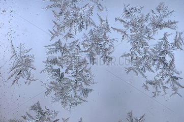 Crystals of frost on a windshield of the vehicle in December