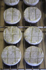 Goat cheese on a grid France