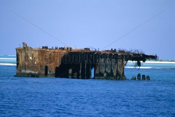 Epave de la seconde guerre mondiale Ile de Midway