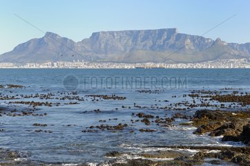 Cape Town and Table Mountain views from Robben Island