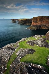 Eshaness cliffs Shetland