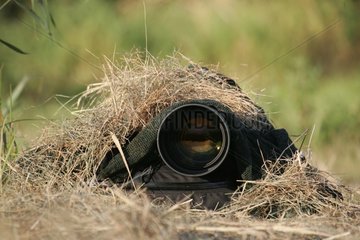 Animal photographer stalking under dry grass