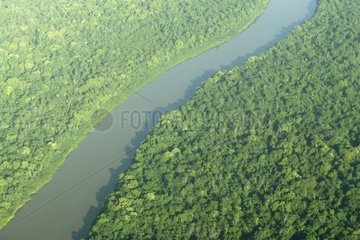 Coppename River rainforest in Suriname