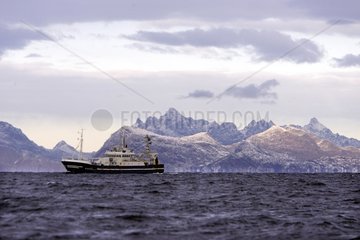 Boot vor den Lofoteninseln in Norwegen