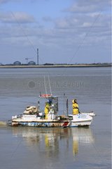 Sammeln von Ölproben pro Sieb über dem Loire River