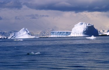 Océan et iceberg dans la péninsule antarctique