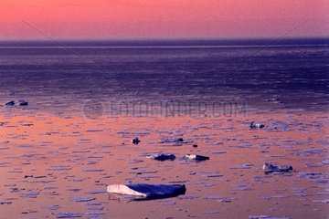Crépuscule sur la Mer du Groenland