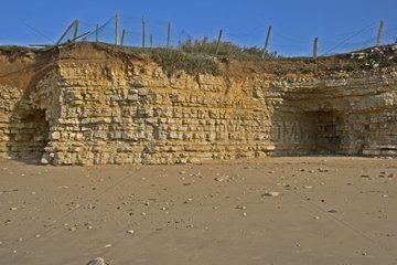 Marine erosion of a cliff on the coast of the Ile de Ré