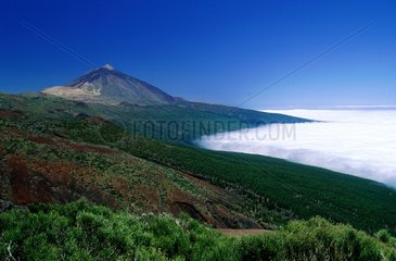 Iles Canaries  Tenerife  volcan de Teide