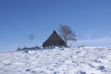 Buron sur l'Aubrac en hiver Lozère