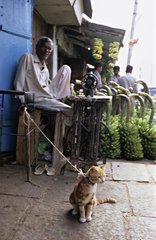 Katze neben einem Mann und seiner NÃ¤hmaschine Mysore gefesselt