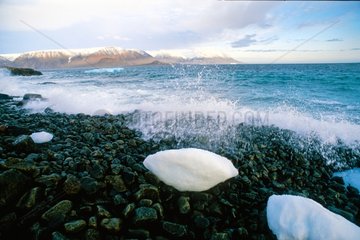 Morceaux de glace d'icerberg échoués sur la plage