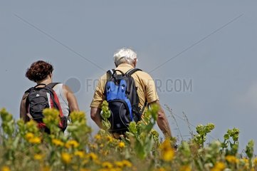 Paare Wanderer im Sommer auf einem Weg aufbereitet