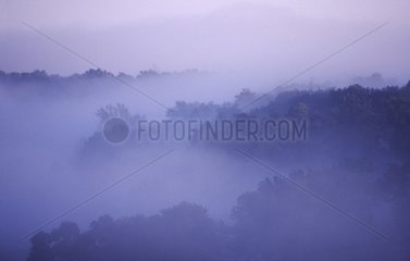 Brouillard matinal dans la vallée de l'Auchie Gers