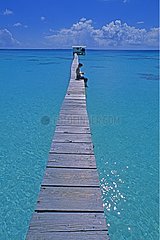 Young woman sitting on a pontoon in the lagoon of Fakarava