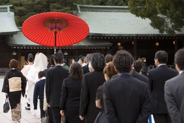 Traditional wedding in a temple Tokyo Japan [AT]