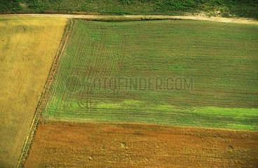 Vue aérienne d'un champ Monceau sur Dordogne